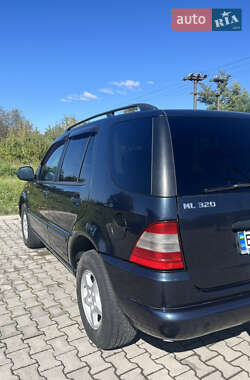 Внедорожник / Кроссовер Mercedes-Benz M-Class 2001 в 
