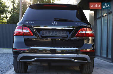 Внедорожник / Кроссовер Mercedes-Benz M-Class 2014 в 