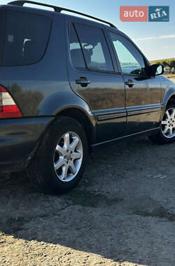 Внедорожник / Кроссовер Mercedes-Benz M-Class 2002 в 