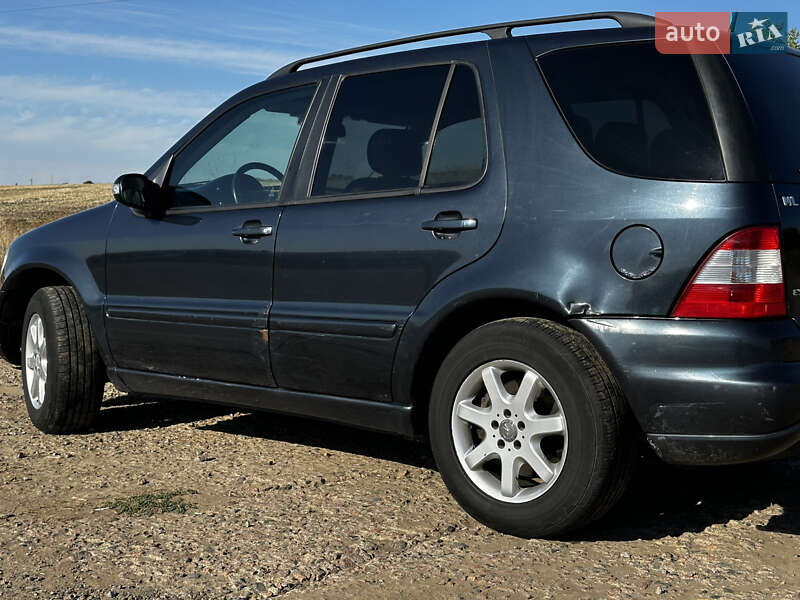 Внедорожник / Кроссовер Mercedes-Benz M-Class 2002 в Павлограде