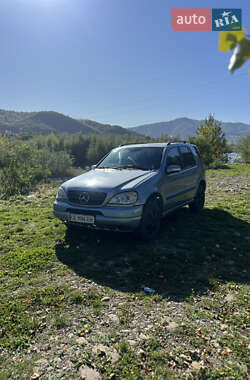 Внедорожник / Кроссовер Mercedes-Benz M-Class 2002 в 