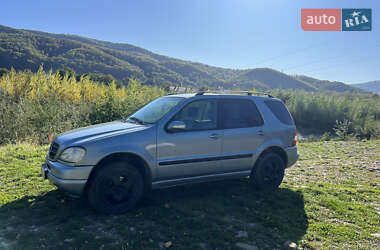 Внедорожник / Кроссовер Mercedes-Benz M-Class 2002 в 