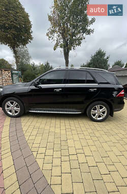 Внедорожник / Кроссовер Mercedes-Benz M-Class 2013 в 