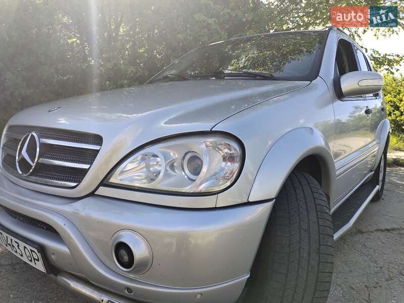 Внедорожник / Кроссовер Mercedes-Benz M-Class 2002 в Одессе фото 6 Внедорожник / Кроссовер Mercedes-Benz M-Class 2002 в Одессе