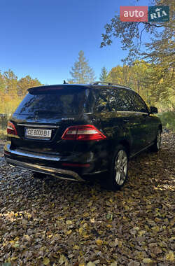 Внедорожник / Кроссовер Mercedes-Benz M-Class 2013 в 
