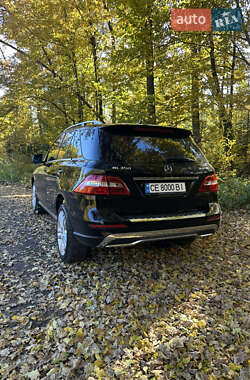 Внедорожник / Кроссовер Mercedes-Benz M-Class 2013 в 