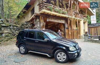 Внедорожник / Кроссовер Mercedes-Benz M-Class 2004 в Ужгороде