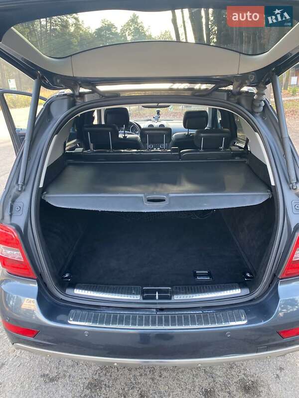 Позашляховик / Кросовер Mercedes-Benz M-Class 2010 в Білій Церкві фото 24 Позашляховик / Кросовер Mercedes-Benz M-Class 2010 в Білій Церкві