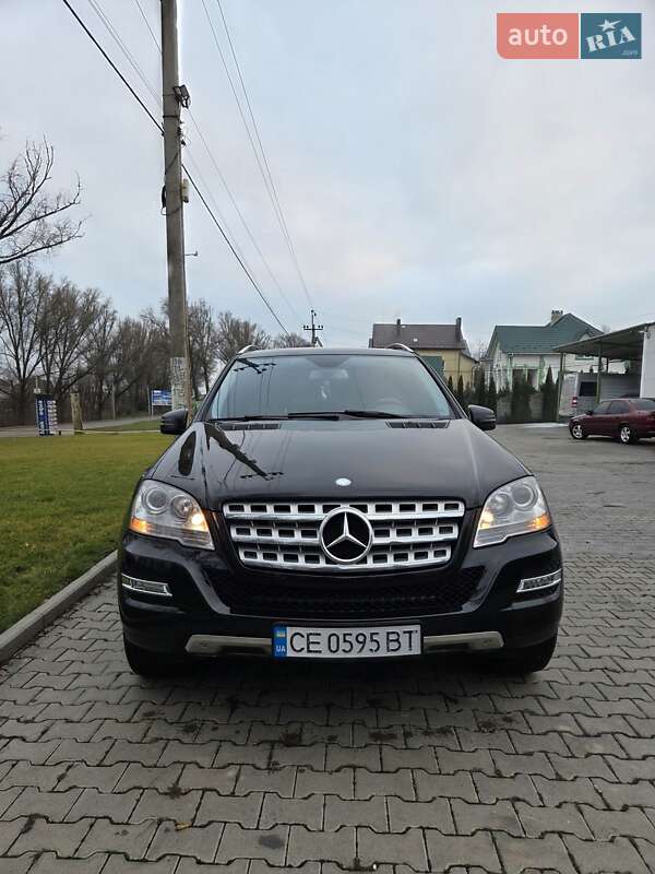 Mercedes-Benz M-Class 2010