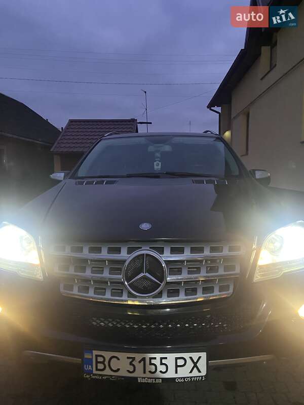 Mercedes-Benz M-Class 2009 Mercedes-Benz M-Class 2009