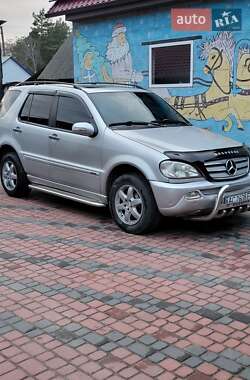 Внедорожник / Кроссовер Mercedes-Benz M-Class 2004 в Ратным