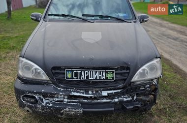 Внедорожник / Кроссовер Mercedes-Benz M-Class 2001 в Шевченкове