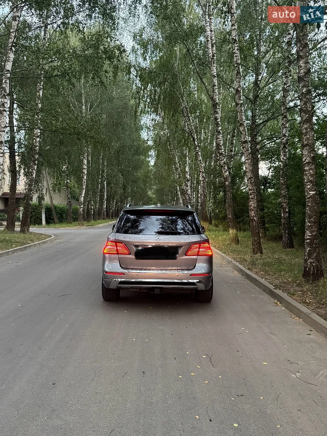 2013 Mercedes-Benz M-klasse - мініатюра 2