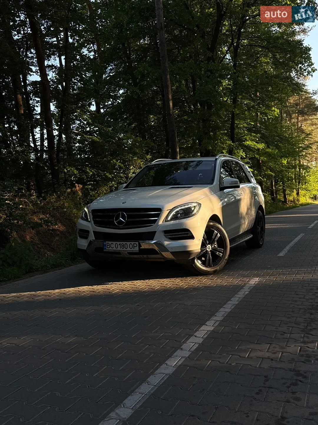 2013 Mercedes-Benz M-klasse - мініатюра 2