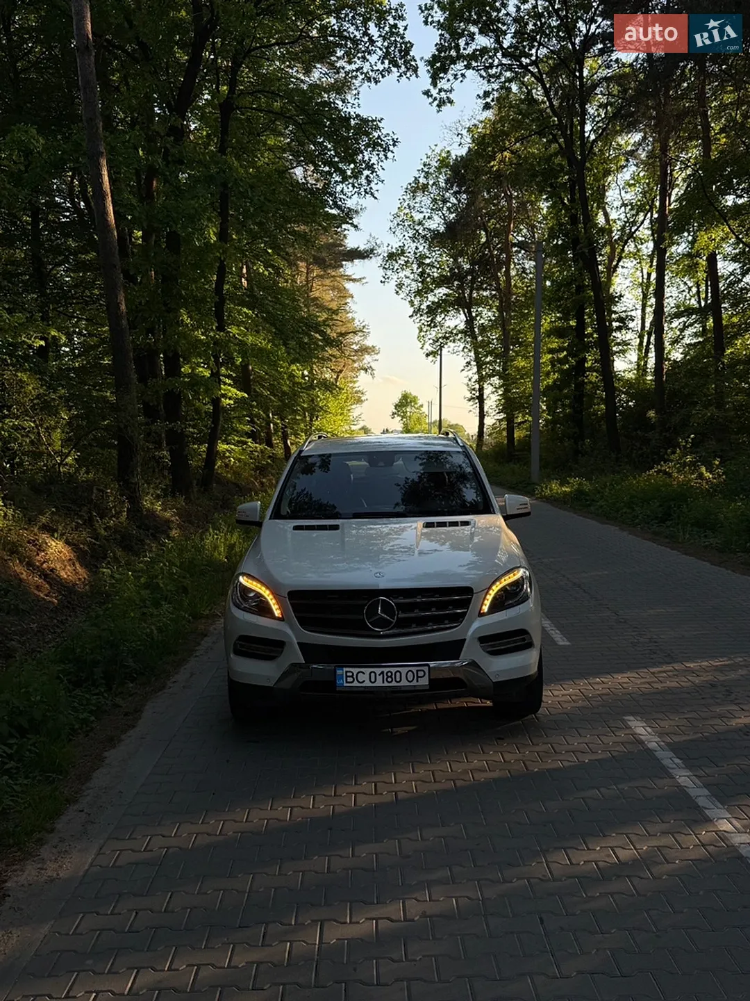 2013 Mercedes-Benz M-klasse - мініатюра 9