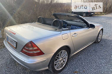 Родстер Mercedes-Benz SLK-Class 2002 в Каменец-Подольском