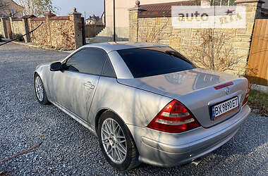 Родстер Mercedes-Benz SLK-Class 2002 в Каменец-Подольском