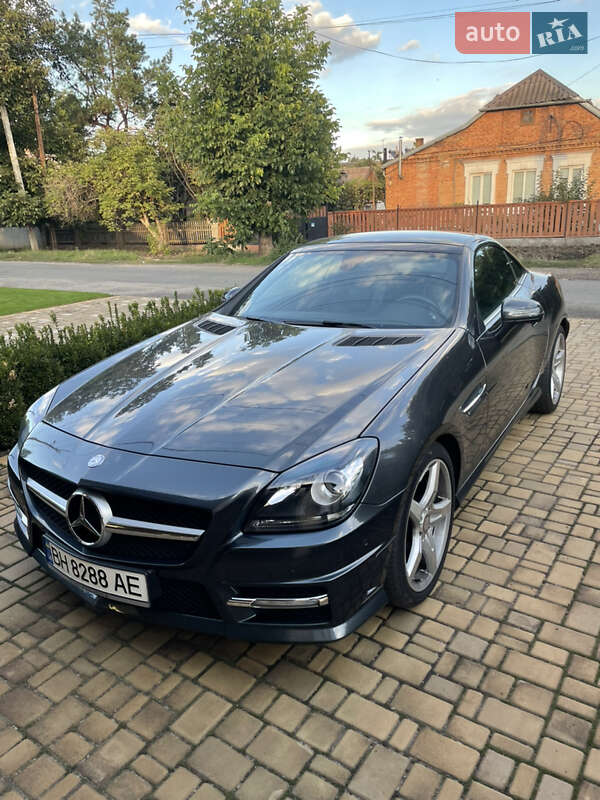 Родстер Mercedes-Benz SLK-Class 2012 в Кривом Роге