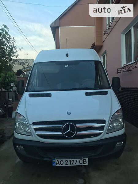 Mercedes-Benz Sprinter 316 груз.-пасс.