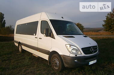 Микроавтобус Mercedes-Benz Sprinter 2012 в Кельменцах