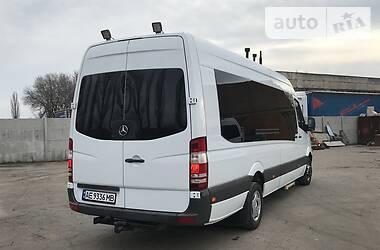 Микроавтобус Mercedes-Benz Sprinter 2010 в Кривом Роге