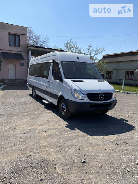 Микроавтобус Mercedes-Benz Sprinter 2010 в Иршаве