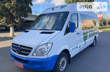 Микроавтобус Mercedes-Benz Sprinter 2009 в 