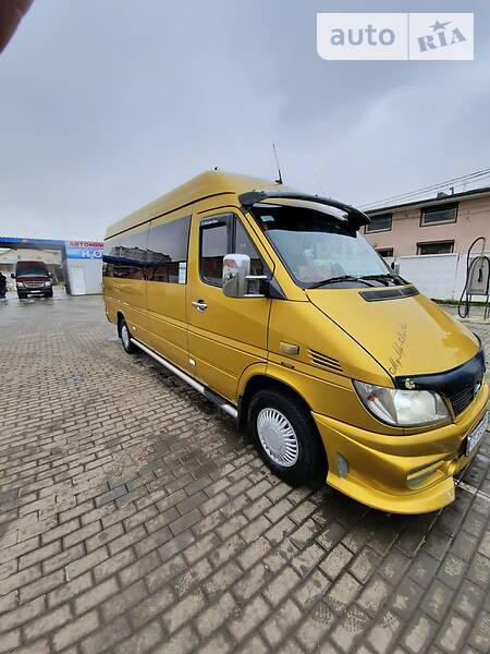 Микроавтобус Mercedes-Benz Sprinter 2002 в Сокирянах