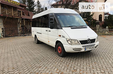 Микроавтобус Mercedes-Benz Sprinter 2004 в Долине