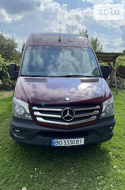 Мікроавтобус Mercedes-Benz Sprinter 2014 в Тернополі