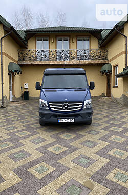 Грузовой фургон Mercedes-Benz Sprinter 2014 в Тернополе