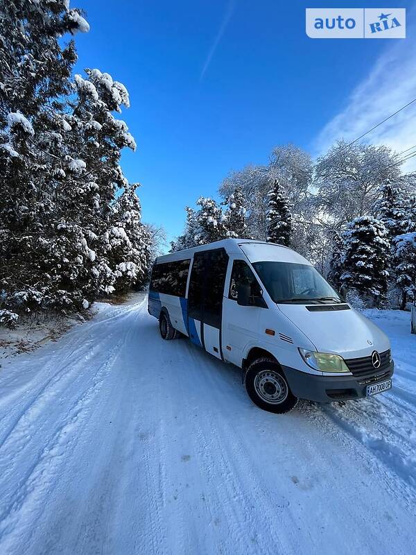 Микроавтобус Mercedes-Benz Sprinter 2001 в Славянске