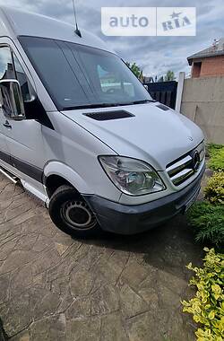 Микроавтобус Mercedes-Benz Sprinter 2010 в Днепре