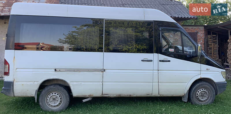 Микроавтобус Mercedes-Benz Sprinter 1995 в Бережанах