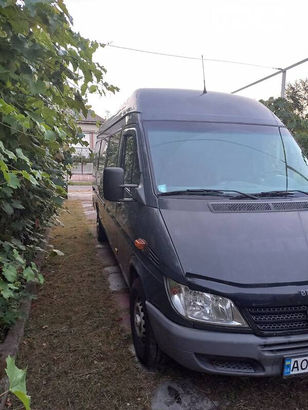 Микроавтобус Mercedes-Benz Sprinter 2005 в Берегово