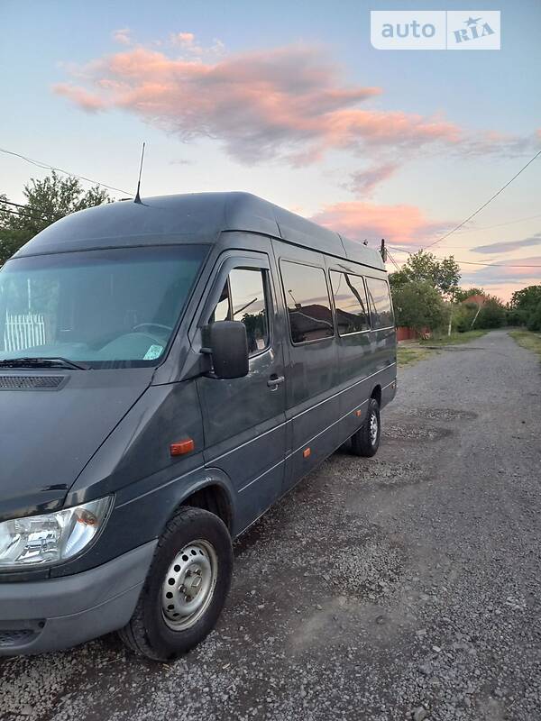 Микроавтобус Mercedes-Benz Sprinter 2005 в Берегово