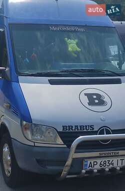 Мікроавтобус Mercedes-Benz Sprinter 2002 в Запоріжжі