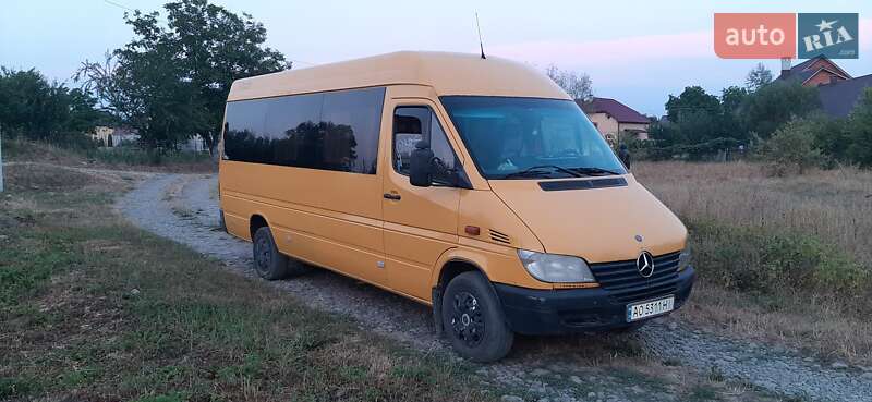 Микроавтобус Mercedes-Benz Sprinter 2004 в Хусте