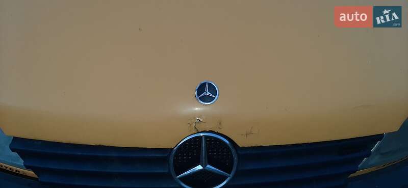 Микроавтобус Mercedes-Benz Sprinter 2004 в Хусте