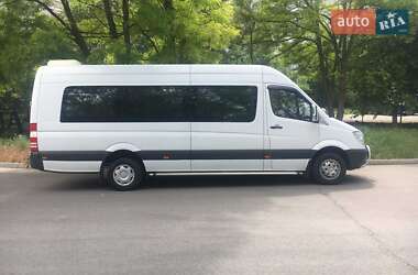 Микроавтобус Mercedes-Benz Sprinter 2010 в Запорожье