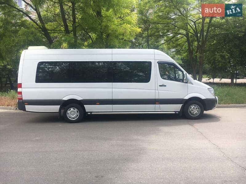 Мікроавтобус Mercedes-Benz Sprinter 2010 в Запоріжжі