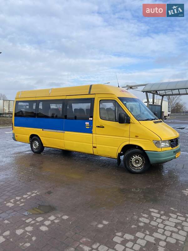 Микроавтобус Mercedes-Benz Sprinter 2000 в Днепре