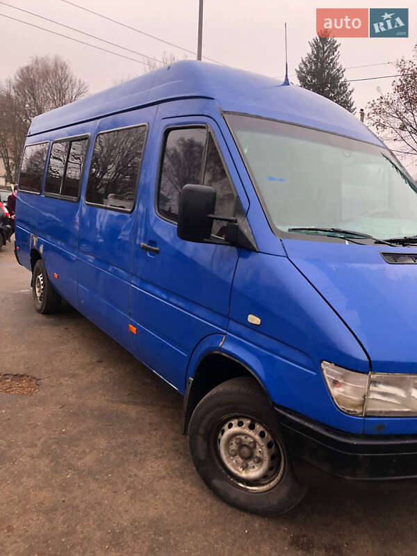 Мікроавтобус Mercedes-Benz Sprinter 1998 в Краснокутську