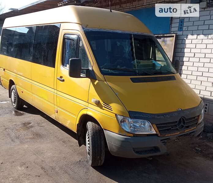 Микроавтобус Mercedes-Benz Sprinter 2003 в Николаеве
