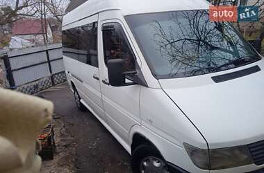 Мікроавтобус Mercedes-Benz Sprinter 1995 в 