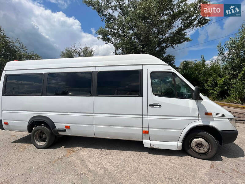 Мікроавтобус Mercedes-Benz Sprinter 2004 в Кам'янському