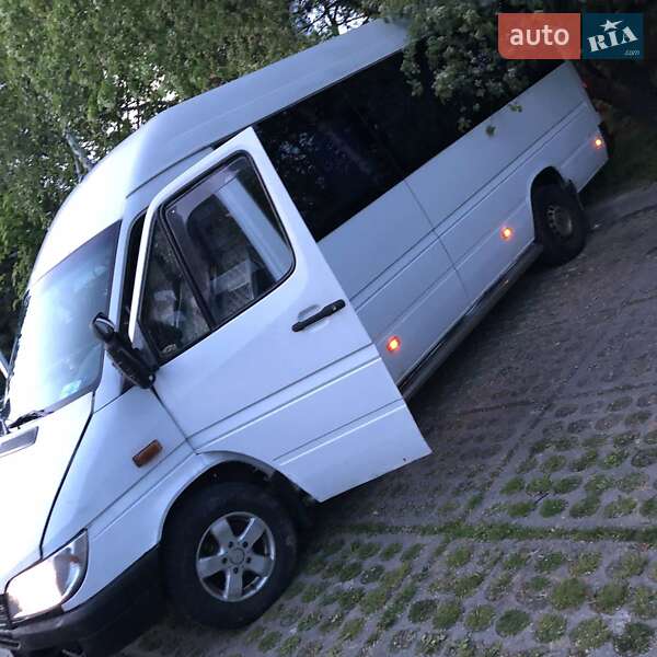 Микроавтобус Mercedes-Benz Sprinter 2004 в Ужгороде