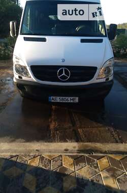 Інші автобуси Mercedes-Benz Sprinter 2008 в Кривому Розі