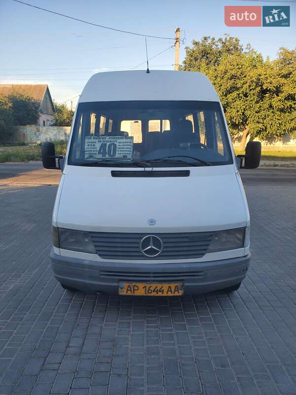 Микроавтобус Mercedes-Benz Sprinter 1999 в Запорожье