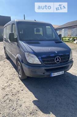 Грузопассажирский фургон Mercedes-Benz Sprinter 2006 в Хмельницком